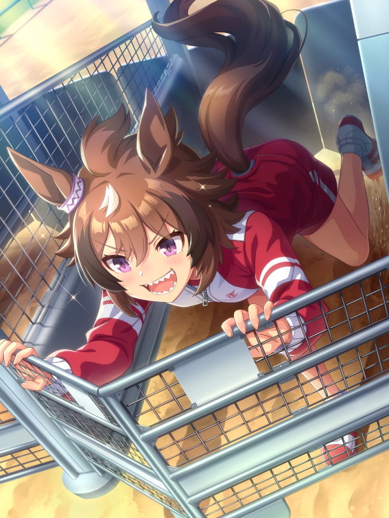 ［／／／WARNING GATE／／／］シンコウウインディ.jpg