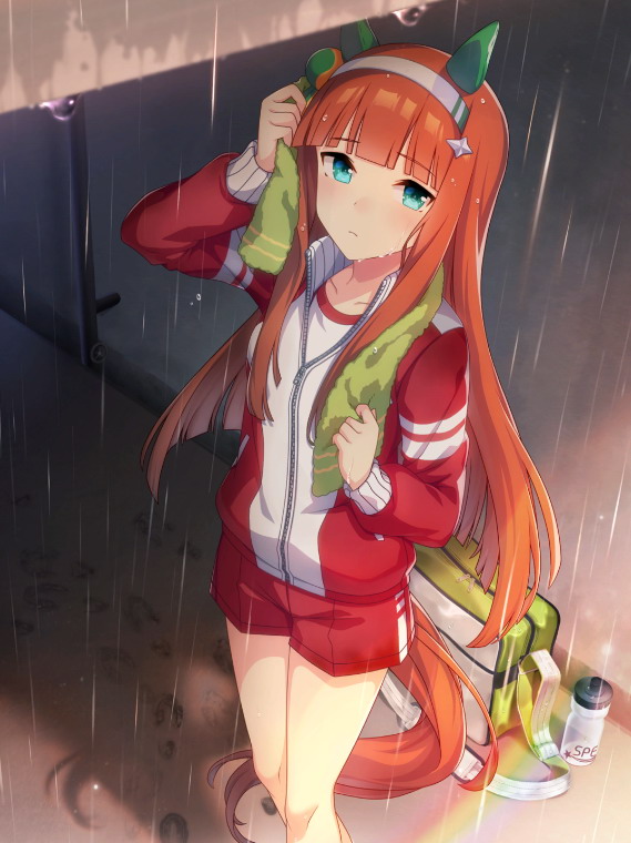 サイレンススズカ.jpg