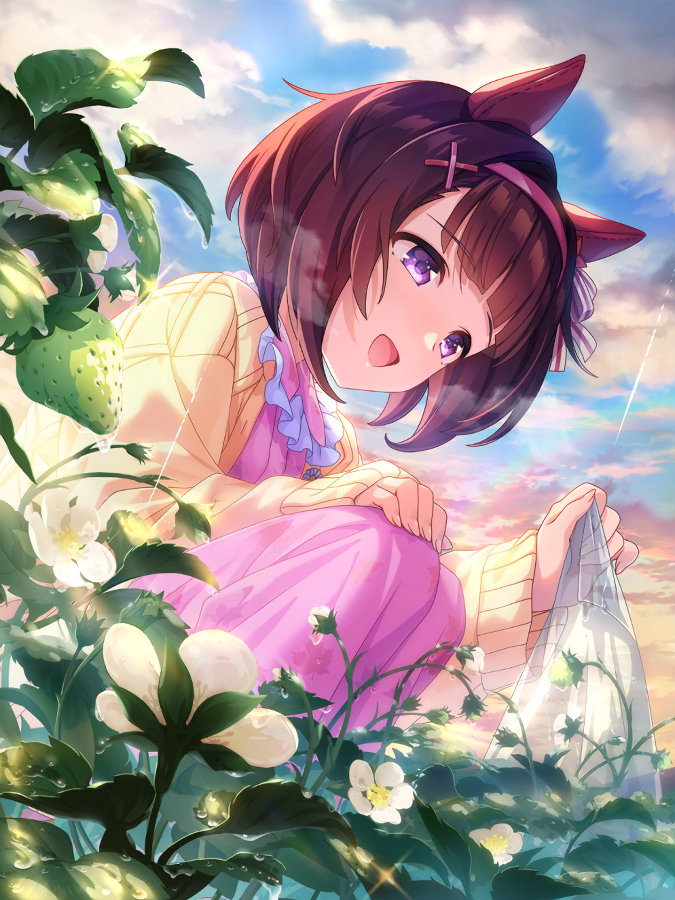 ［朝焼け苺の畑にて］ニシノフラワー.jpg