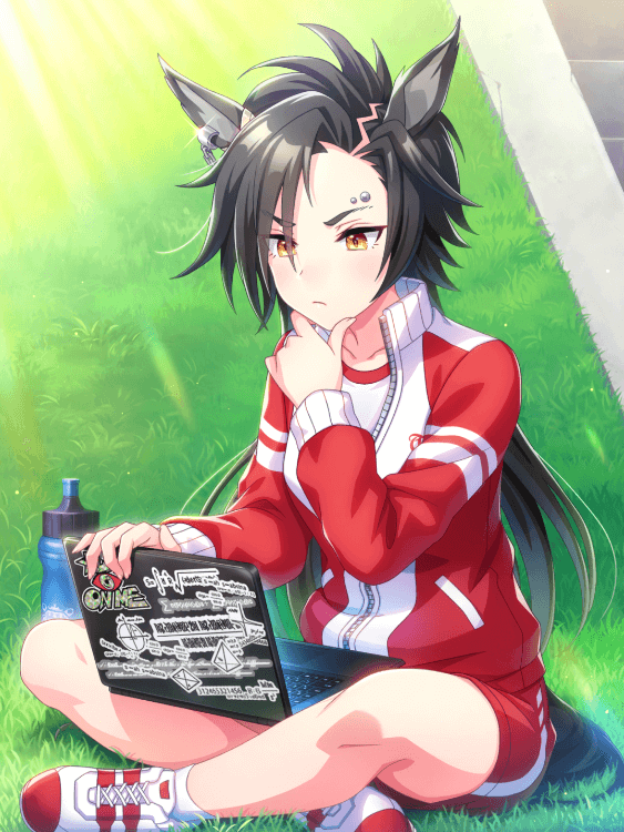 ［道端フィードバック］エアシャカール.png